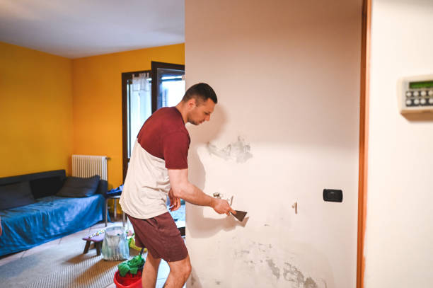 Professional Mold Removal in East Glenville, NY